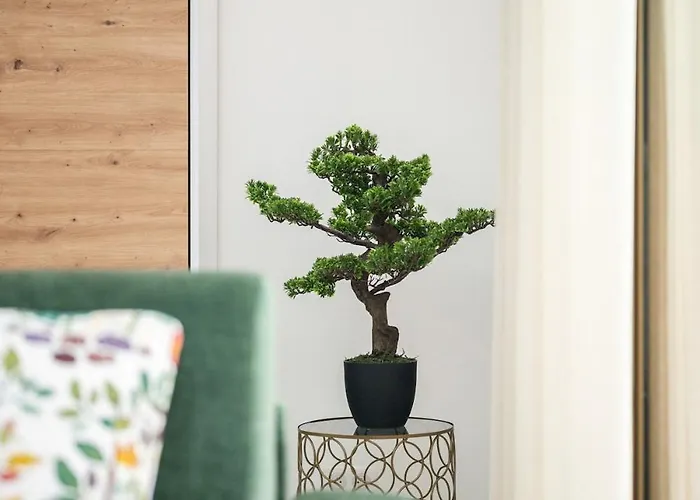 Lamazonico - Proche Centre - Terrasse Clim