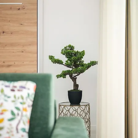 Amazonico- Proche Centre - Clim - *