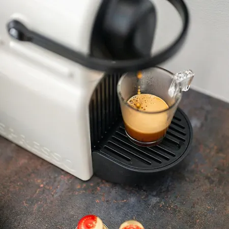 Lamazonico - Proche Centre - Clim - * マントン